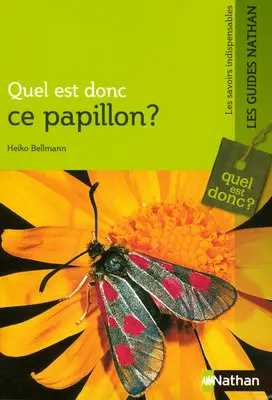 Quel est donc ce papillon ?