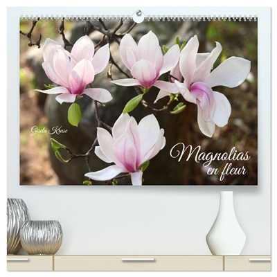 Magnolias en fleur...