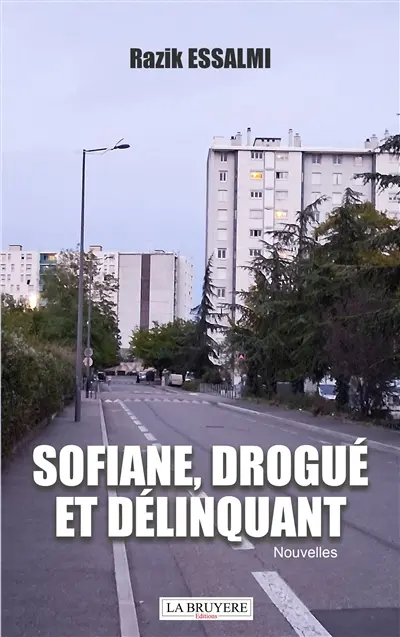 SOFIANE, DROGUE ET DELINQUANT
