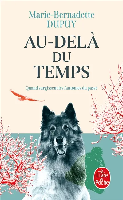 Le mystère Soline. Vol. 1. Au-delà du temps