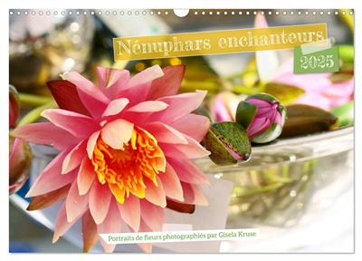 Nénuphars enchanteurs...