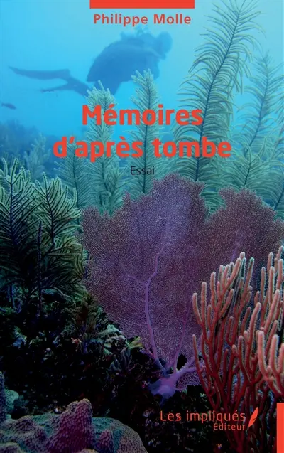 Mémoires d'après tombe : essai