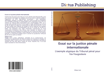 Essai sur la justice penale internationale : L'exemple atypique du Tribunal penal pour l'ex-Yougoslavie