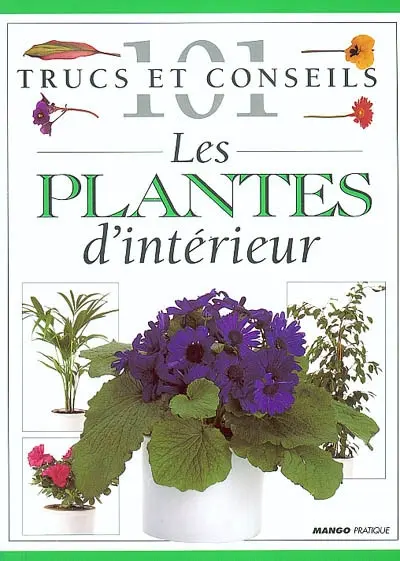 Les plantes d'intérieur