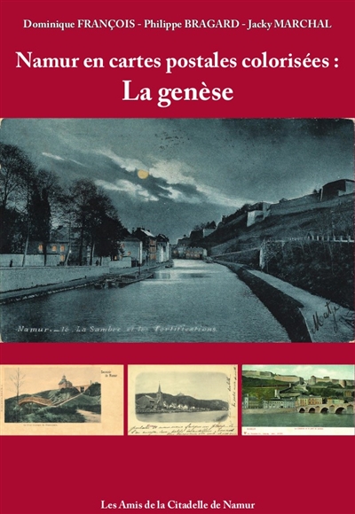 Namur en cartes postales colorisées. Vol. 1. La genèse