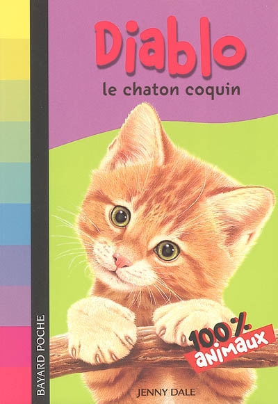 Diablo, le chaton coquin