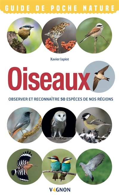 Oiseaux : observer et reconnaître 50 espèces de nos régions