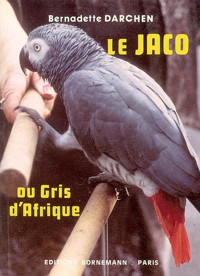 Le Jaco ou Gris d'Afrique : le plus célèbre des perroquets parleurs