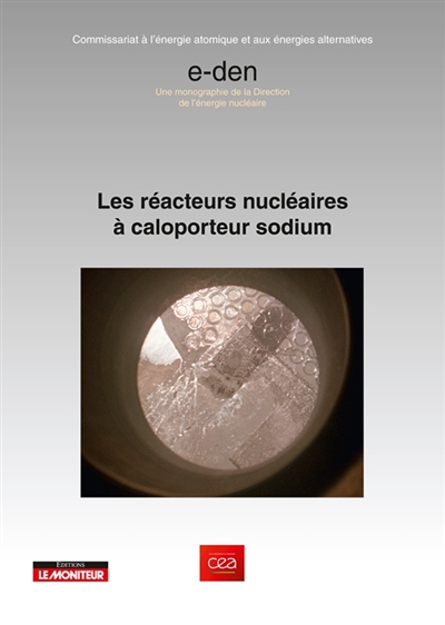 Les réacteurs nucléaires à caloporteur sodium