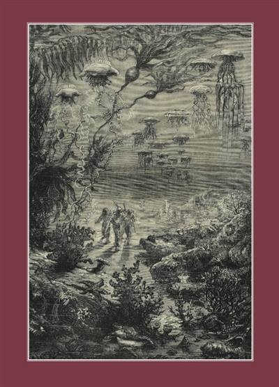 Carnet blanc : Vingt mille lieues sous les mers, Jules Verne, 1871 : Promenade en plaine