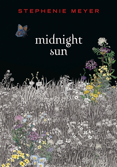 Twilight. Midnight sun