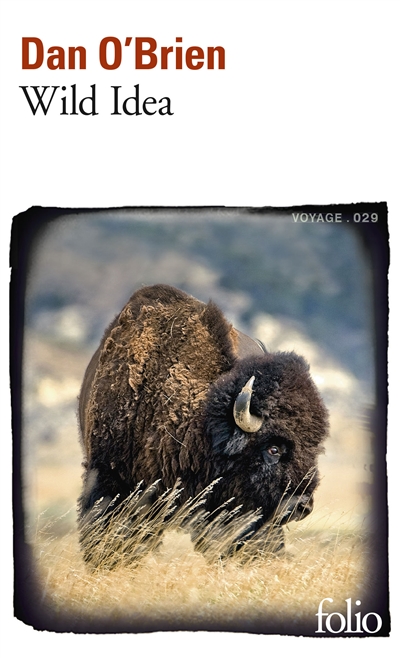 Wild Idea : des bisons à la terre et de la terre aux bisons
