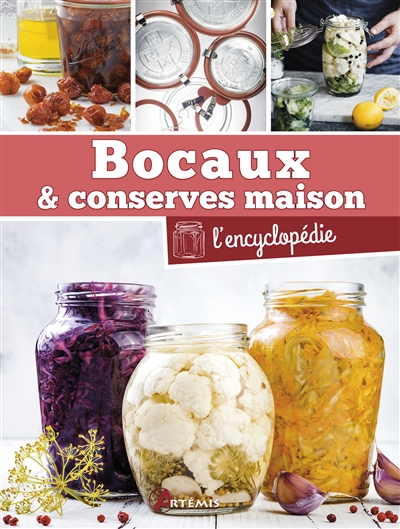 Bocaux & conserves maison :...