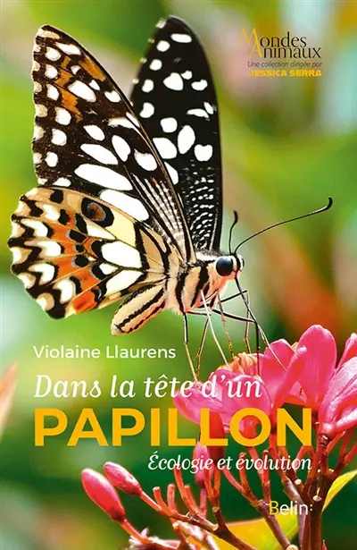 Dans la tête d'un papillon : écologie et évolution