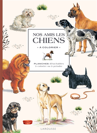 Nos amis les chiens à...