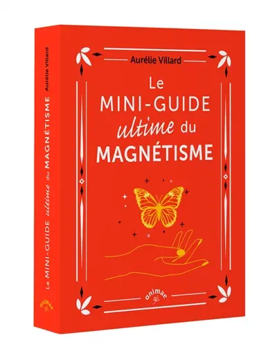 Le mini-guide ultime du magnétisme