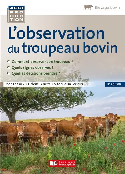 L'observation du troupeau bovin