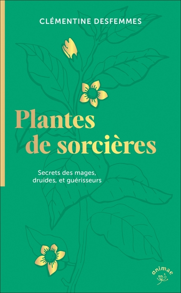 Plantes de sorcières : secrets des mages, druides et guérisseurs