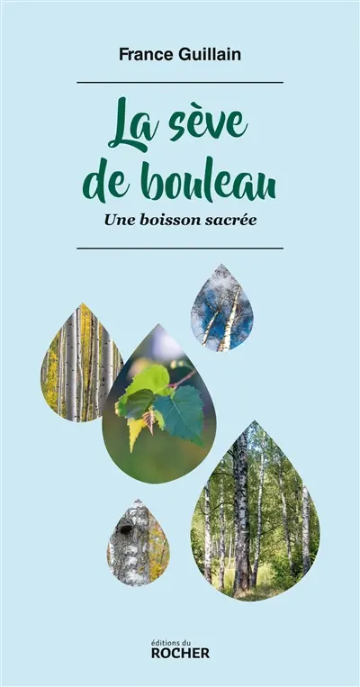 La sève de bouleau : une boisson sacrée