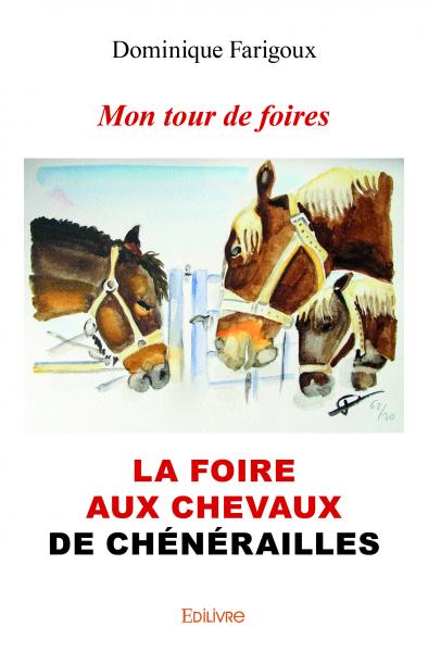 Mon tour de foires : La foire aux chevaux de Chénérailles
