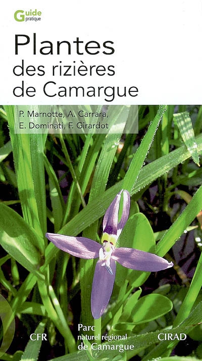 Plantes des rizières de Camargue