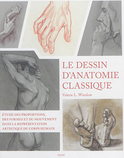 Le dessin d'anatomie classique : étude des proportions, des formes et du mouvement dans la représentation artistique du corps humain
