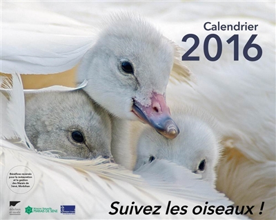 Suivez les oiseaux ! : calendrier 2016