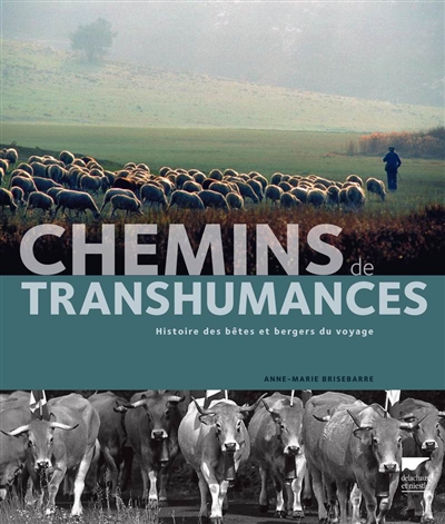 Chemins de transhumances : histoire des bêtes et bergers du voyage