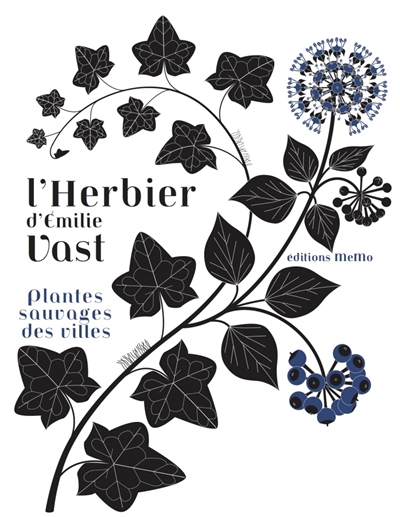 L'herbier d'Émilie Vast - Plantes sauvages des villes