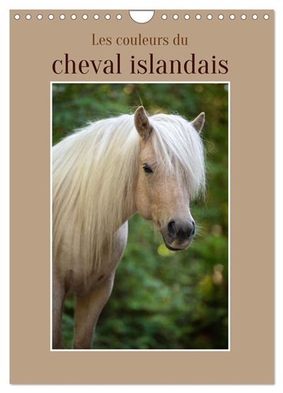 Les couleurs du cheval...