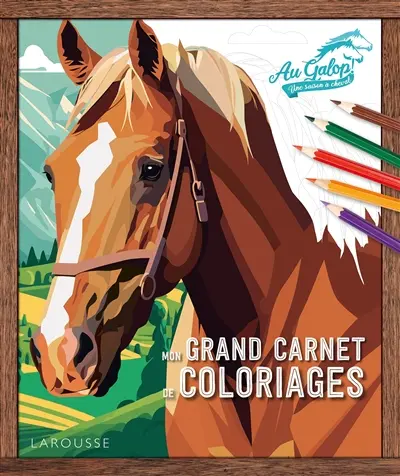 Au galop ! Une saison à cheval : mon grand livre de coloriages