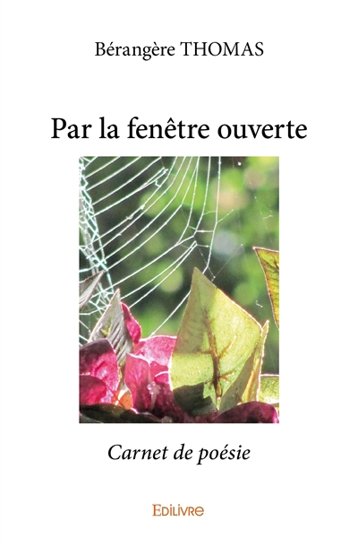 Par la fenêtre ouverte :...
