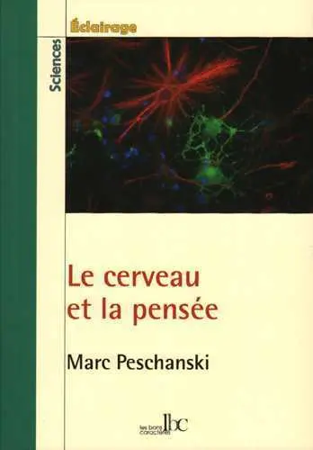 Le cerveau et la pensée