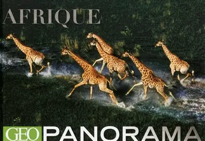 Afrique : Géo panorama