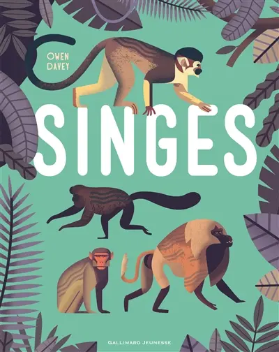 Singes