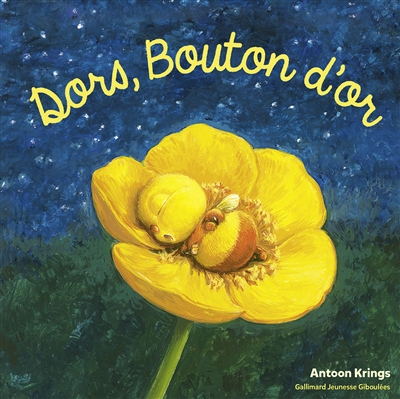 Dors, Bouton d'or