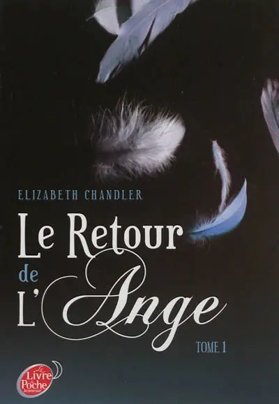 Le retour de l'ange. Vol. 1