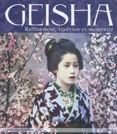 Geisha : raffinement, tradition et modernité