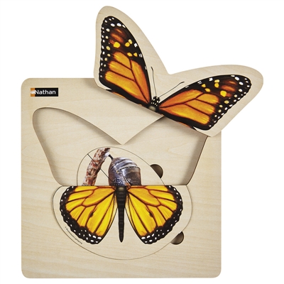 Puzzle Cycle de vie : Papillon