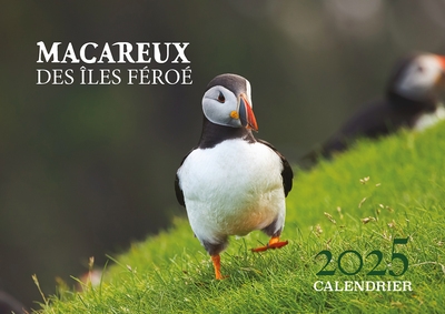 Macareux des îles Feroé :...