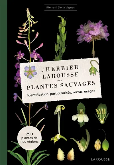 L'herbier Larousse des plantes sauvages : identification, particularités, vertus, usages : 290 plantes de nos régions