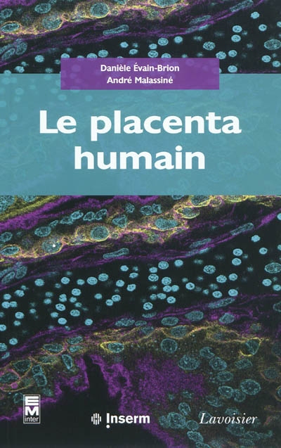 Le placenta humain