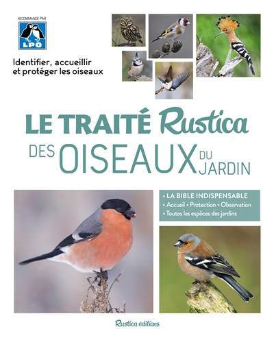 Le traité Rustica des oiseaux du jardin : identifier, accueillir et protéger les oiseaux