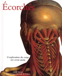 Ecorchés : l'exploration du...