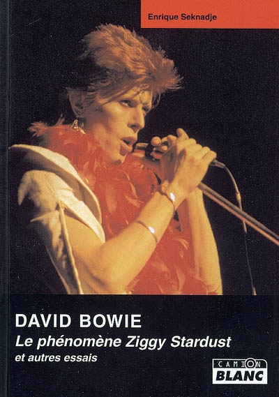 David Bowie : le phénomène Ziggy Stardust : et autres essais