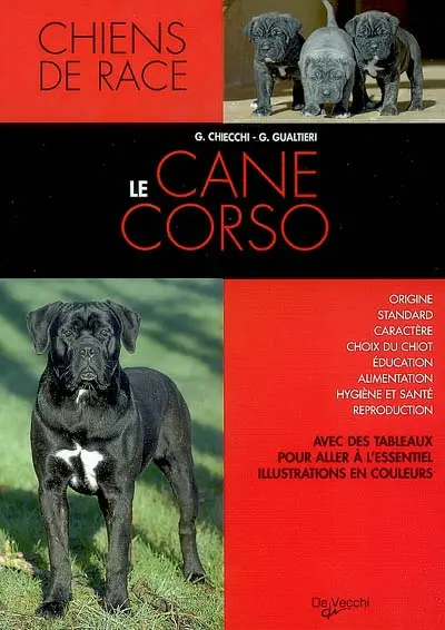 Le cane corso