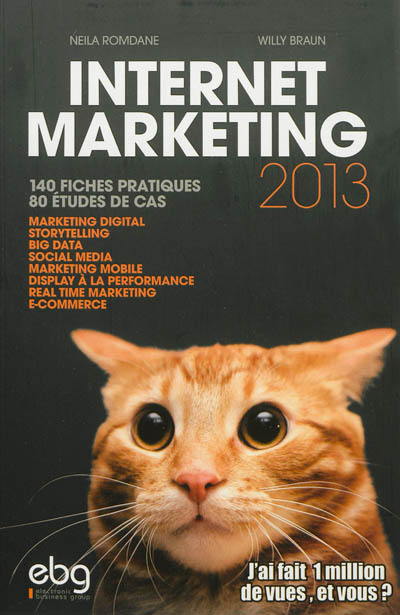 Internet marketing 2013 : 140 fiches pratiques, 80 études de cas