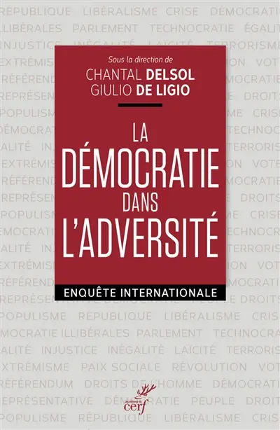 La démocratie dans l'adversité : enquête internationale