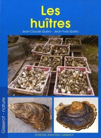 Les huîtres