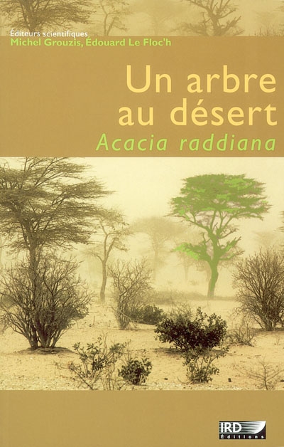 Un arbre au désert, Acacia raddiana